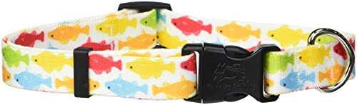 Нашийник за кучета Yellow Dog Design Rainbow Fish White, X-Small, ширина 3/8 инча, подходящ за размери за врата от 8 до 12 инча